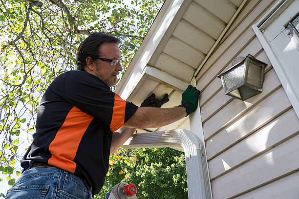 Best Engineered Wood Siding  in Havelock, NC